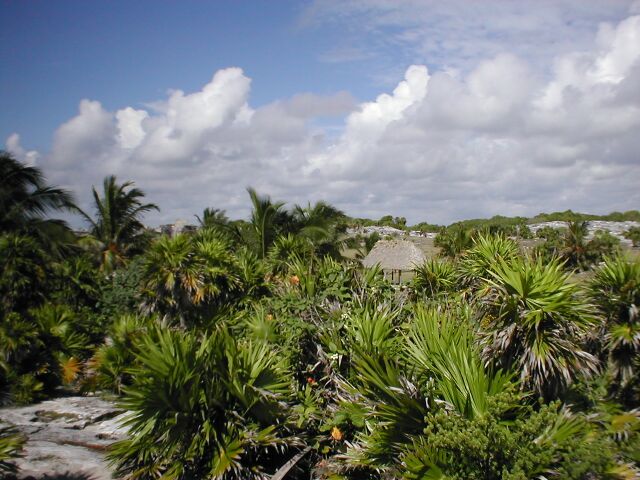 Tulum - overlook