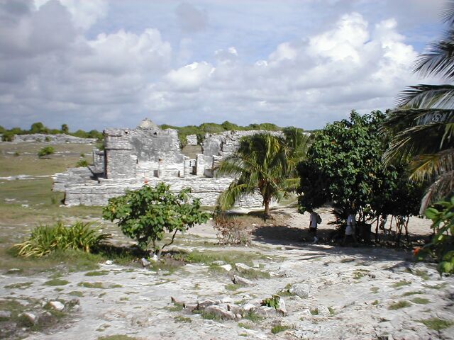 Tulum - trees and ruins