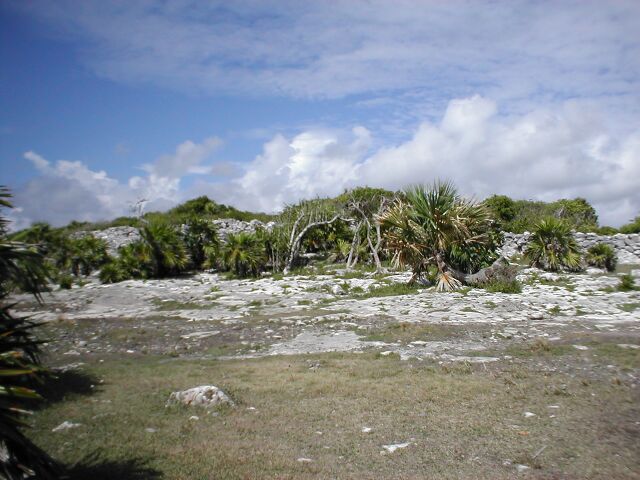 Tulum - wall view